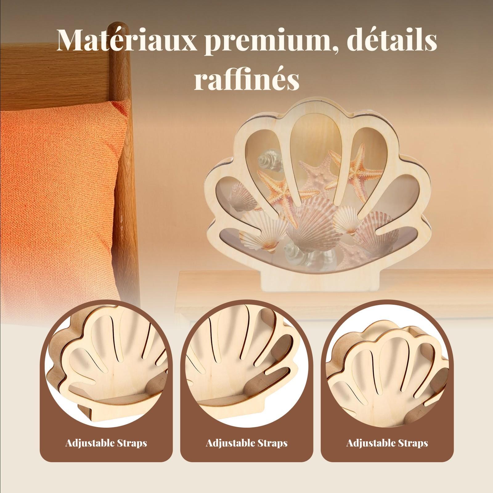 Wooden Shell Display Box Colle - đánh giá và giá Collectors Coins Jewelry & Watches Of Smithtown Reviews